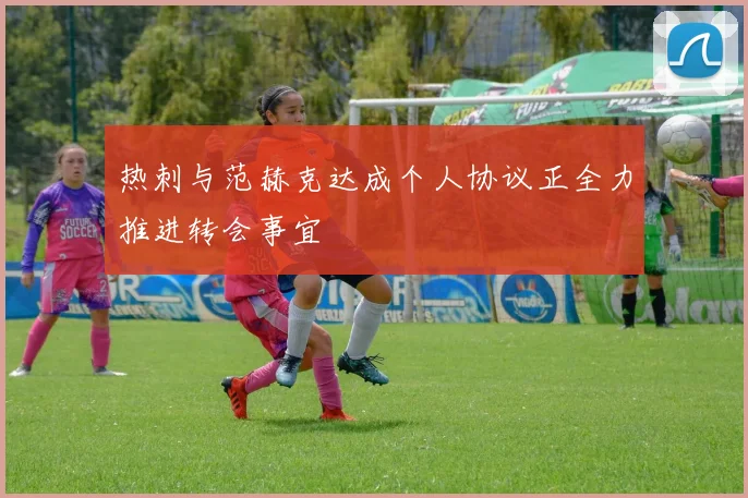 热刺与范赫克达成个人协议正全力推进转会事宜
